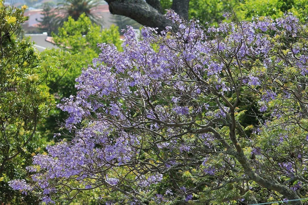 De Tafelberg Guesthouse Cape Town Guest house